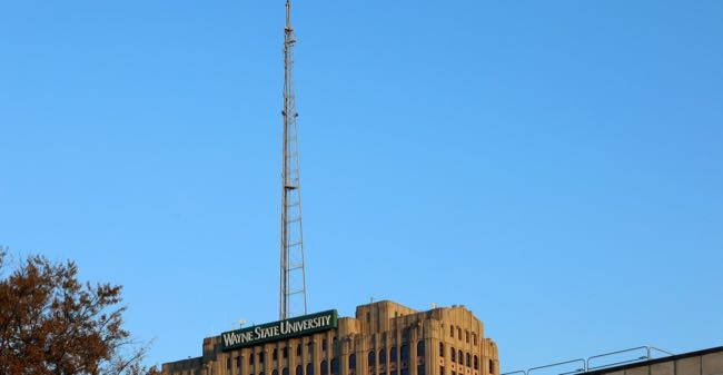 Five Wayne State alumni open Rahha inside the Hannan Center