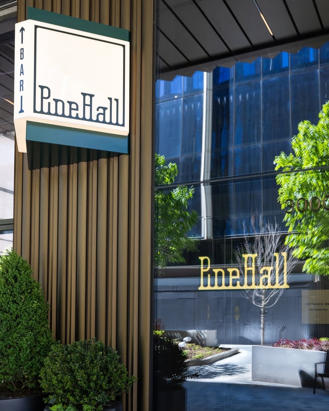 Pine Hall opens Thursday on the 12th floor of Hudson's Detroit