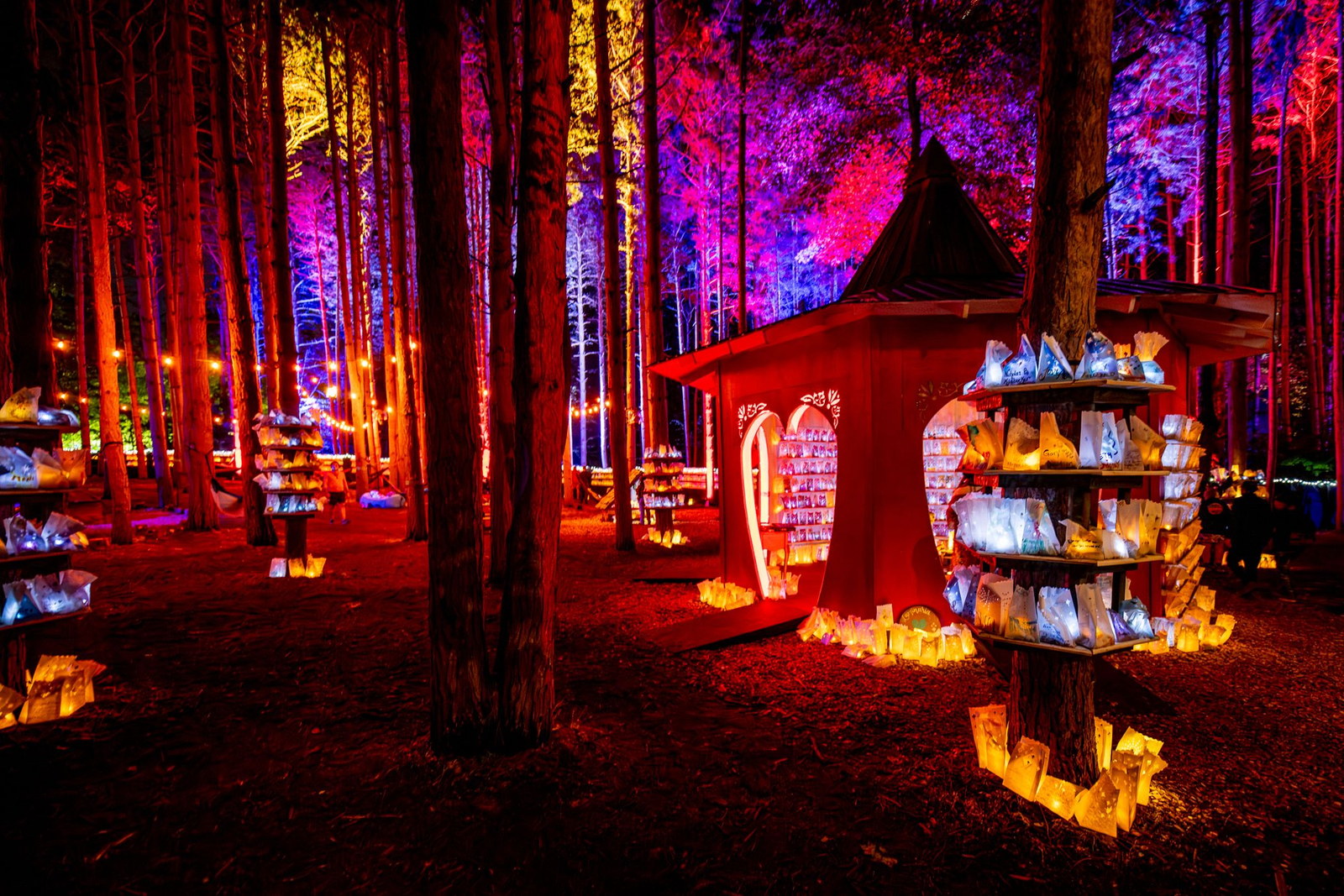 Inside the trees: a Detroit reader's field guide to Electric Forest 2026